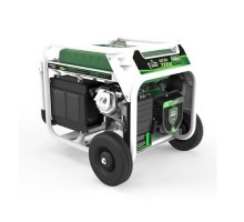 Генератор бензин - газ GENERGY NATURA 7000 7/6 кВт(240027090)
