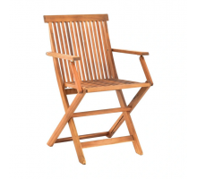 Крісло садове HECHT BASIC CHAIR